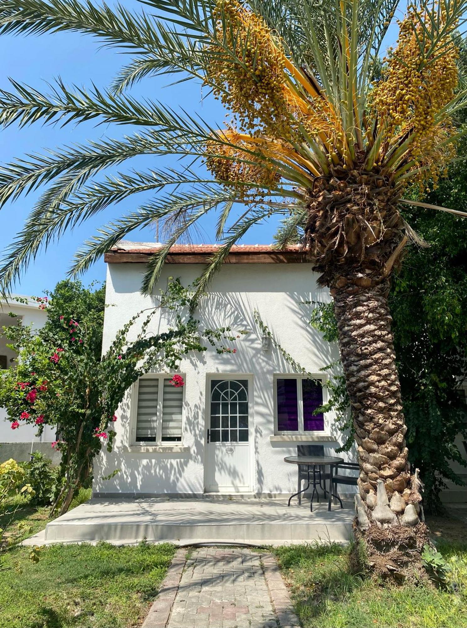 The Prince Inn Hotel & Villas Agios Georgios  Exterior foto